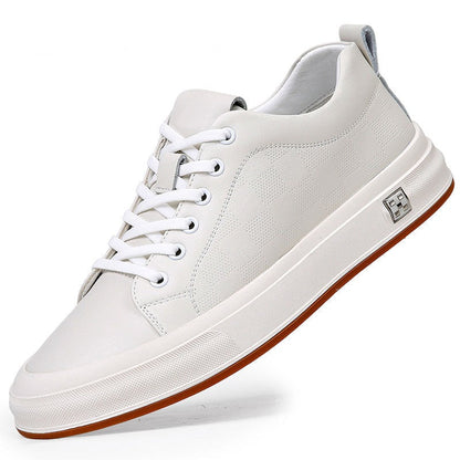 Men’s Tews Trainers